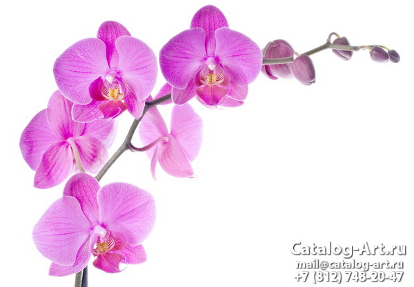 Pink orchids 90